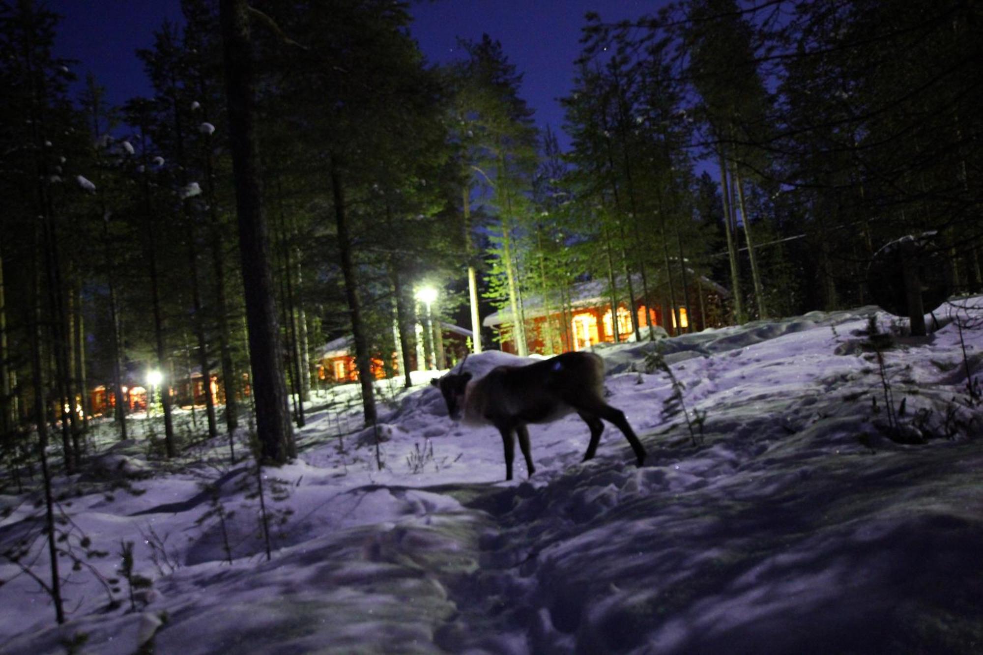 Ukonjaerven Holiday Village อีวาโล ภายนอก รูปภาพ