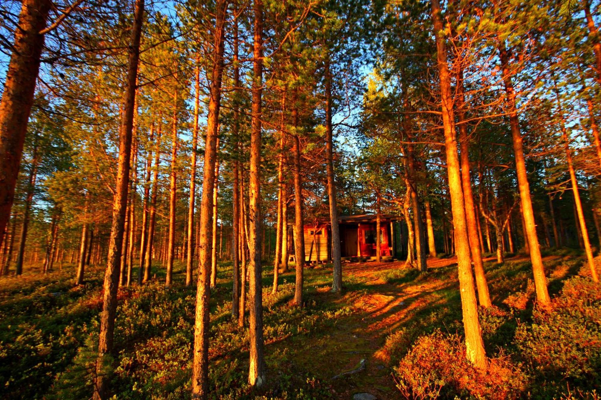 Ukonjaerven Holiday Village อีวาโล ห้อง รูปภาพ
